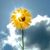 -April Sun- Spring Nu Breeze 23' by Nuwjon