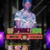 DJ SPARKZ 254