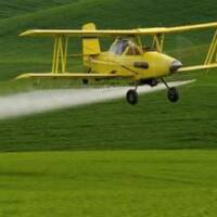 Monstroplante, le soja qui fait boum ! #1 by Radio Pikez