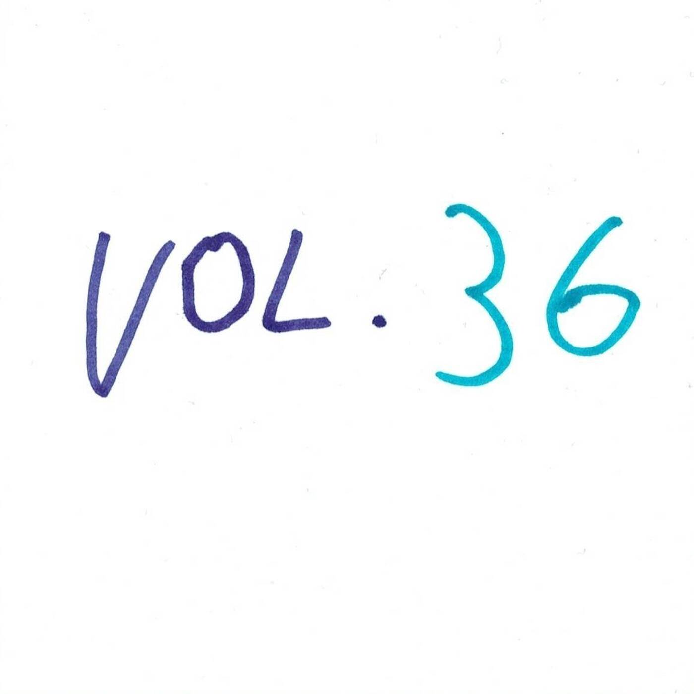 Finn Johannsen - Go Check The Survey Vol. 36 (Paul Hunter 2) episode artwork