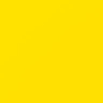 Spencheck De Directors