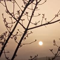 javier Dj - For your future Dance Beak ... by Javier Dj