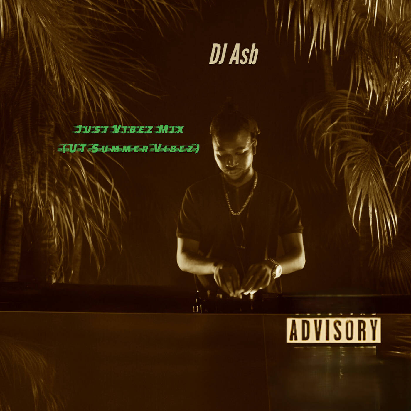 Just Vibez Mix (UT Summer Vibez)