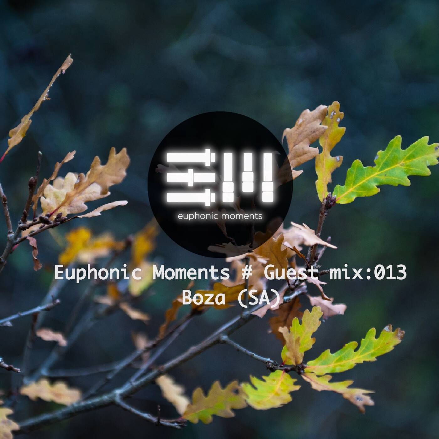 Euphonic Moments # Guest mix 013: Boza (SA) episode artwork