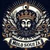 MoloSoul