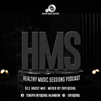 Healthy Music Sessions Podcast 011(guest mix)by Entiqsoul by Healthy Music Sessions