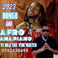 BONGO - AFRO AMAPIANO VOL 2, Sele,Enoy, Ameyatimba,Terminator,Ojapiano,shisha,sumu, lonely, Huku, Lokketo, Haupo by VJ RAJJ THE VIBE MASTER(MR DUBAI)