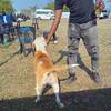 Lwandile LwaZet