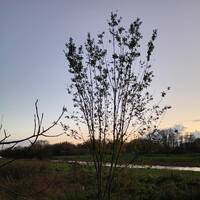 ur232i - flash flood - 2026ur232i by ur232