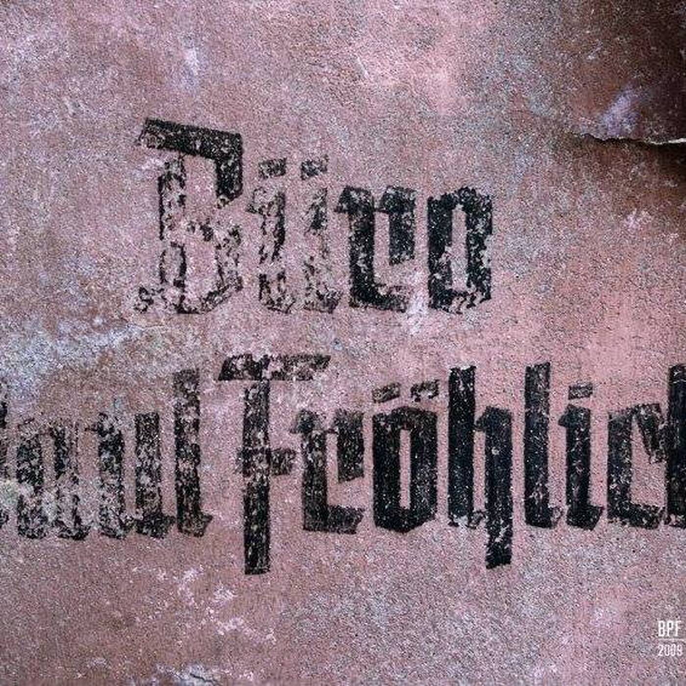 yNot -  FuchsTeufelsWild - Paul Froehlich Floor - 13.08.2022 episode artwork