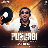Punjabi Swag Vol. 11 - DJ Ashmac