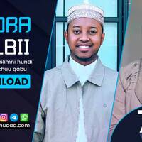 RNH 792, February 27, 2023 Soora Qalbii by NHStudio