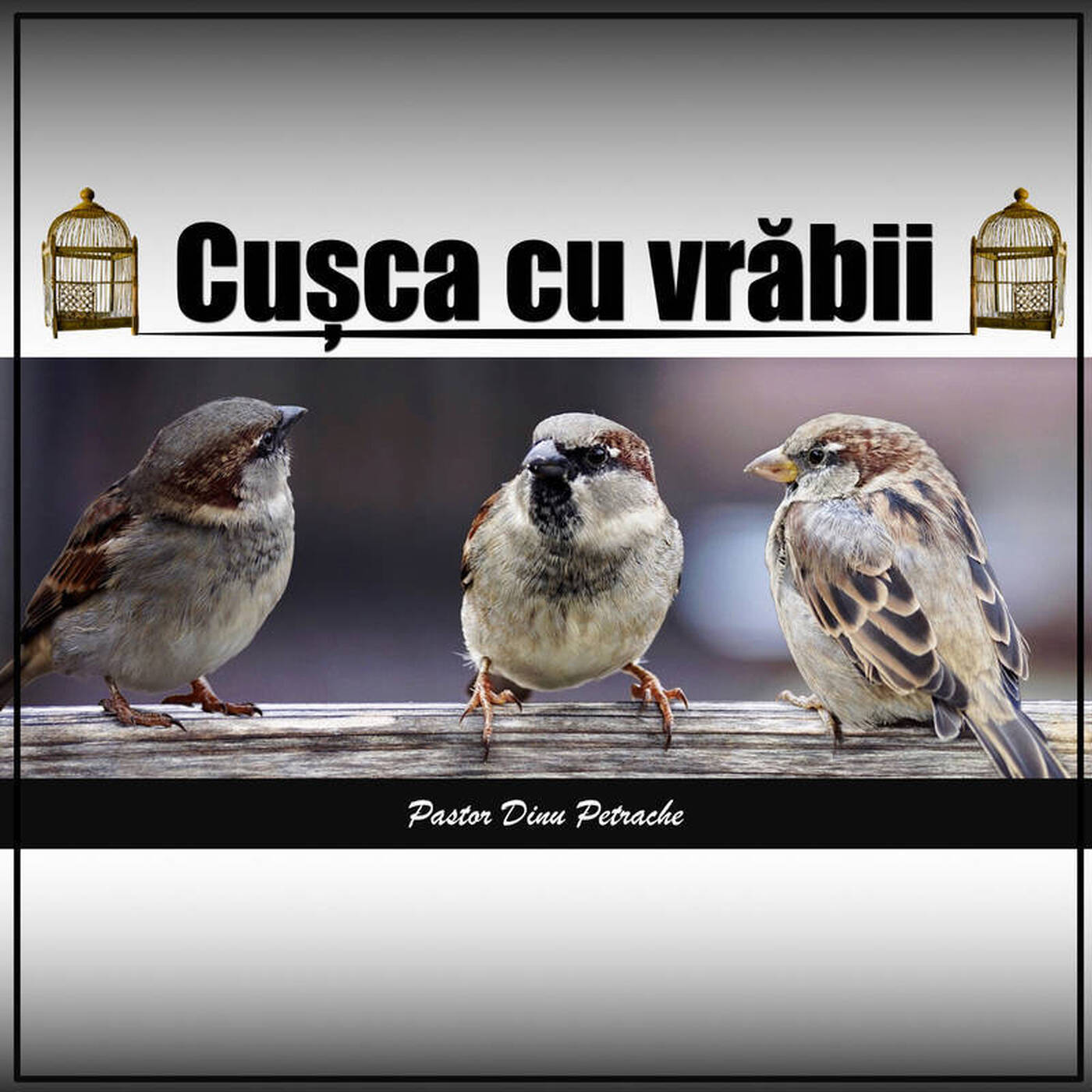 Cușca cu Vrăbii episode artwork