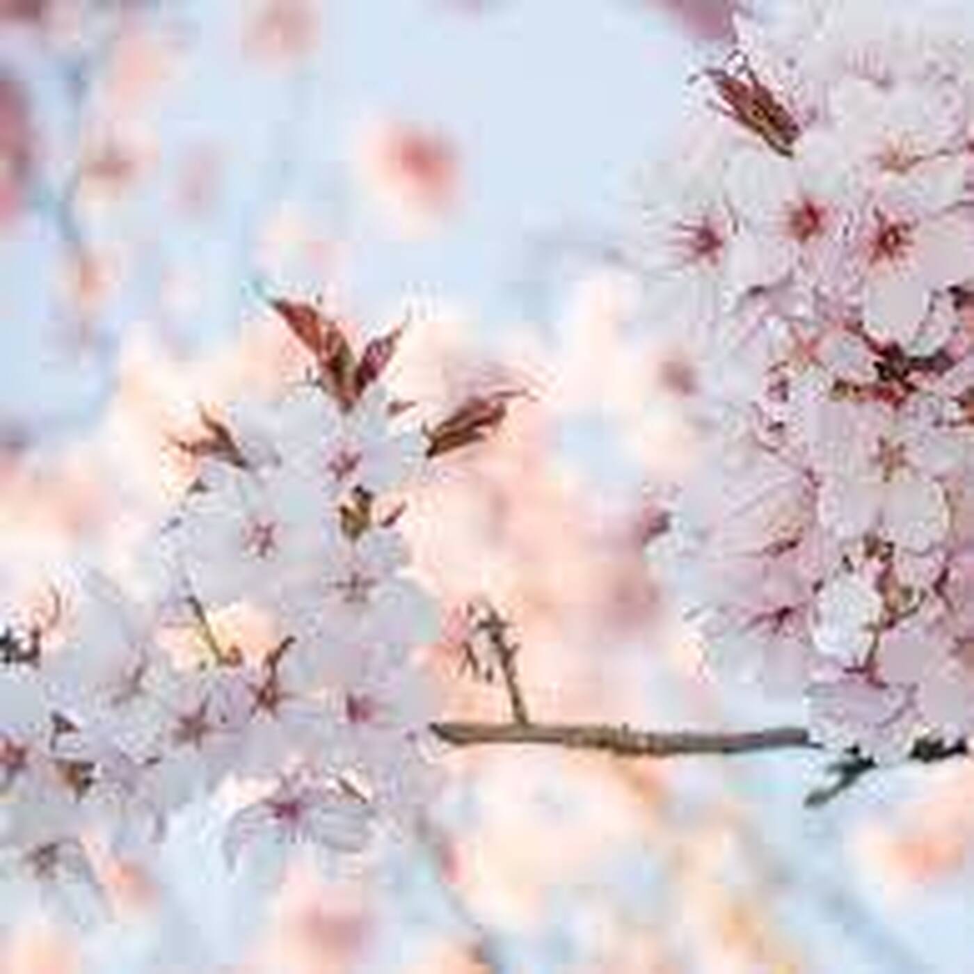 The Deep House Cave by Dj TuXxL (Univers DJ)