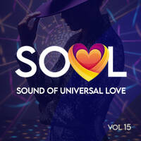 SOUL Vol 15 by The Jazz