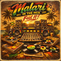 Malari in the mix - Feel it! by Malari