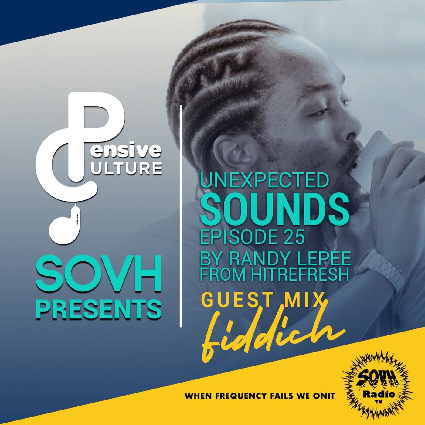 Fiddich - Pensive Culture Podcast - 02 - The Untold Story Episode 25 [Unexpected Sounds] episode artwork