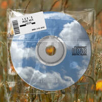 LEE’S 2025 MINI MIX by Lee & Gabs