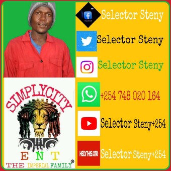 Selector steny+254