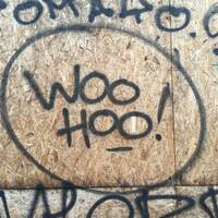 Mathias Ache - Hidden Bud by Mathias Ache