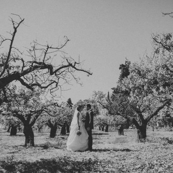 Blas G. Cant&oacute; Vicedo