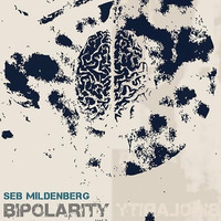 Seb Mildenberg - Bipolarity vol.2 by Seb Mildenberg