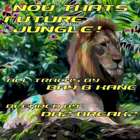 Now Thats Future Jungle!....featuring the music of Bay B Kane (blended by DazBreakz) by Boomsha Recordings