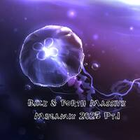 Various Artists - Back &amp; Forth Massive Megamix 2024-2025 by DJMaZi06