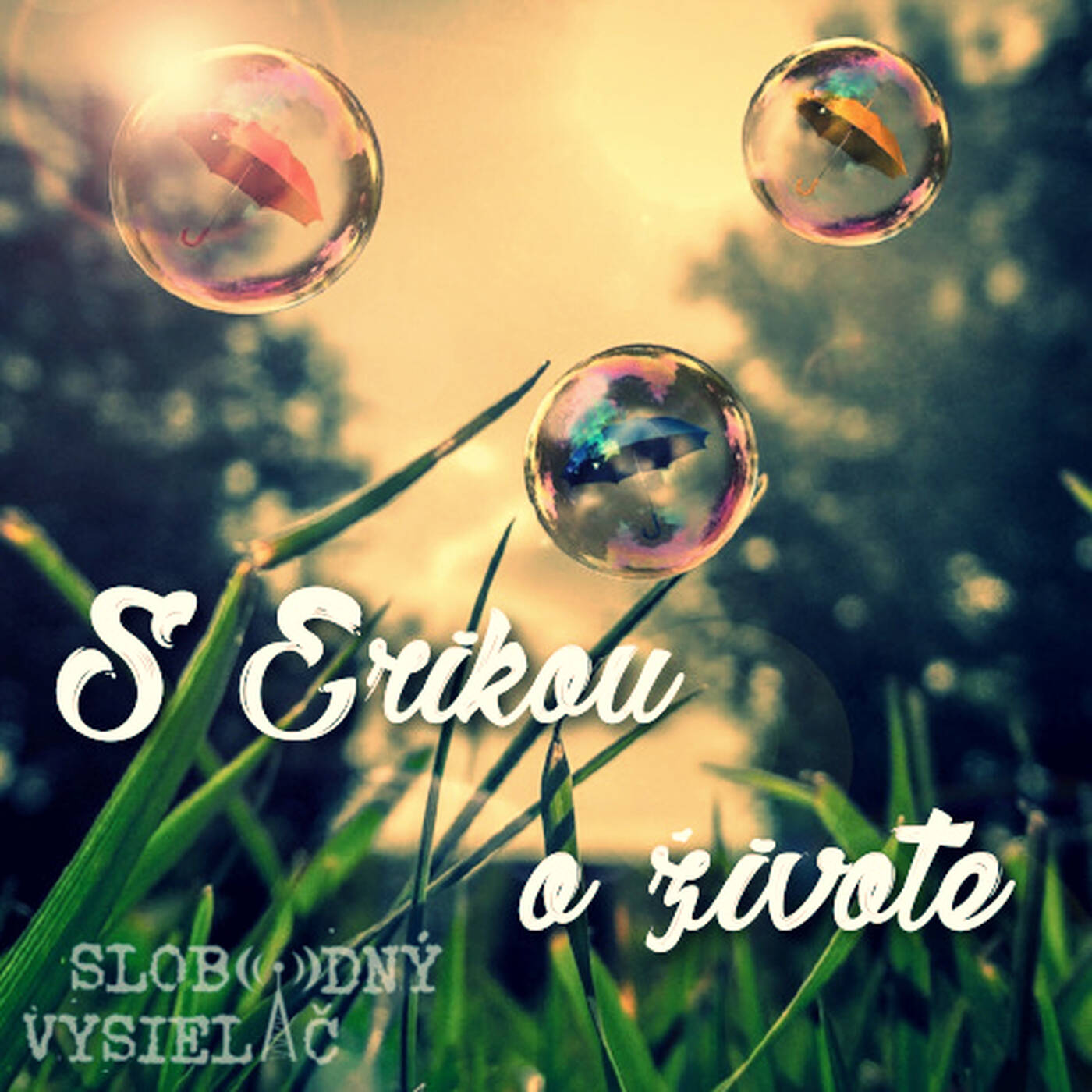 S Erikou o živote 67 - 2020-08-02 Daniel Máčovský episode artwork