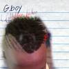 G-boy Mogoje