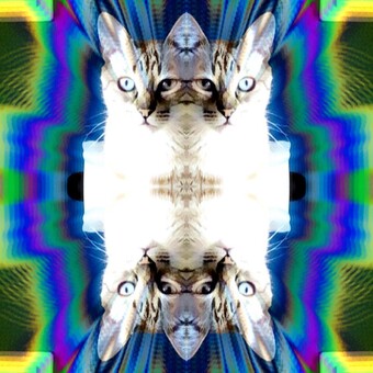 Roberto Carlos Lanceta