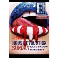 House Music is The Language of Love by Karl Bacon