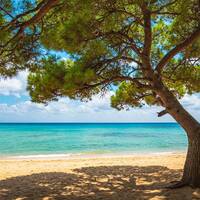 Soulful Afro Deep House Cave 2025-06-07 by Dj TuXxL