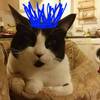 Jai Abu Bakar