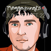 Junglecast 22 / 2017 - Vlad Cheis by Raggajungle.biz