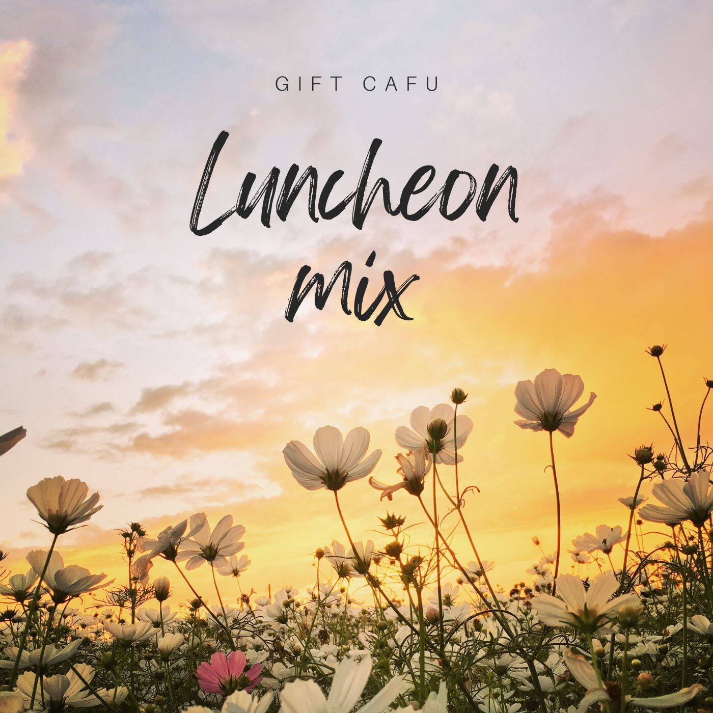 Luncheon'25 Mix episode artwork
