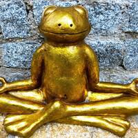 A.N.T.I. MEDITACI&Oacute;N