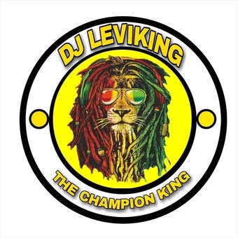 Dj Leviking