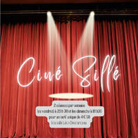 03 - Ciné Silé - 09 et 11 décembre - "Jumeaux mais pas trop" by Frequence Sillé