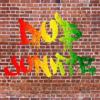 Dub Junkie by IRoll20s