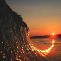 Spring Mix April 2017 by Mark Weibel