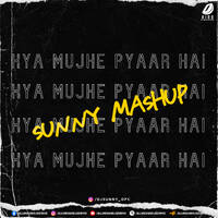 Kya Mujhe Pyaar Hai - Sunny Mashup by All Indian DJs Drive