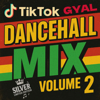 Dancehall Mix 2025, TikTok Gyal Vol 2 Ft IWaata, Spice, Yung Bredda, Vybz Kartel, Aidonia, Ayetian by Dream-Sound Media