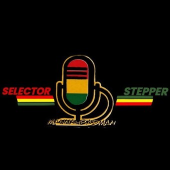 SELECTOR STEPPER