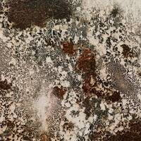 NAISA RADIO - "MUSIC, OR NOISE?" BROADCAST 64 by Bepi Crespan