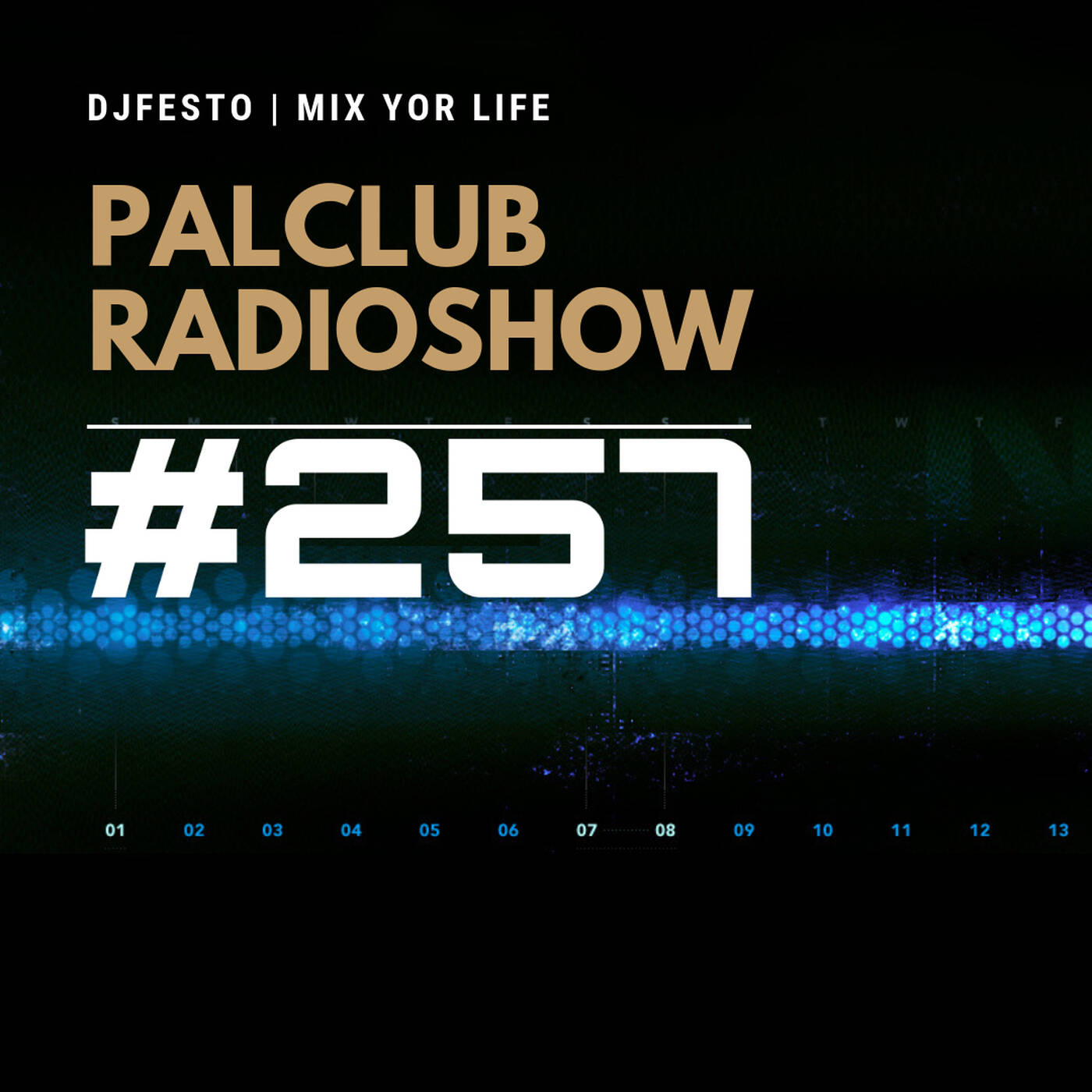 DJFESTO - PALCLUB #257 - Part2 episode artwork