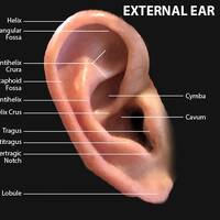 An Earful of Wax - February 5, 2021 (Show #33) by SHAWN MULLIN