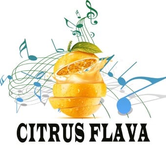 Citrus Flava