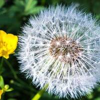 copernicus - highway to house - episode 74 by copernicus