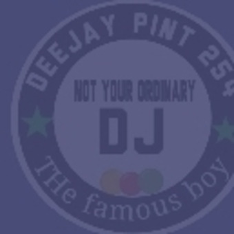 DJ PINT254